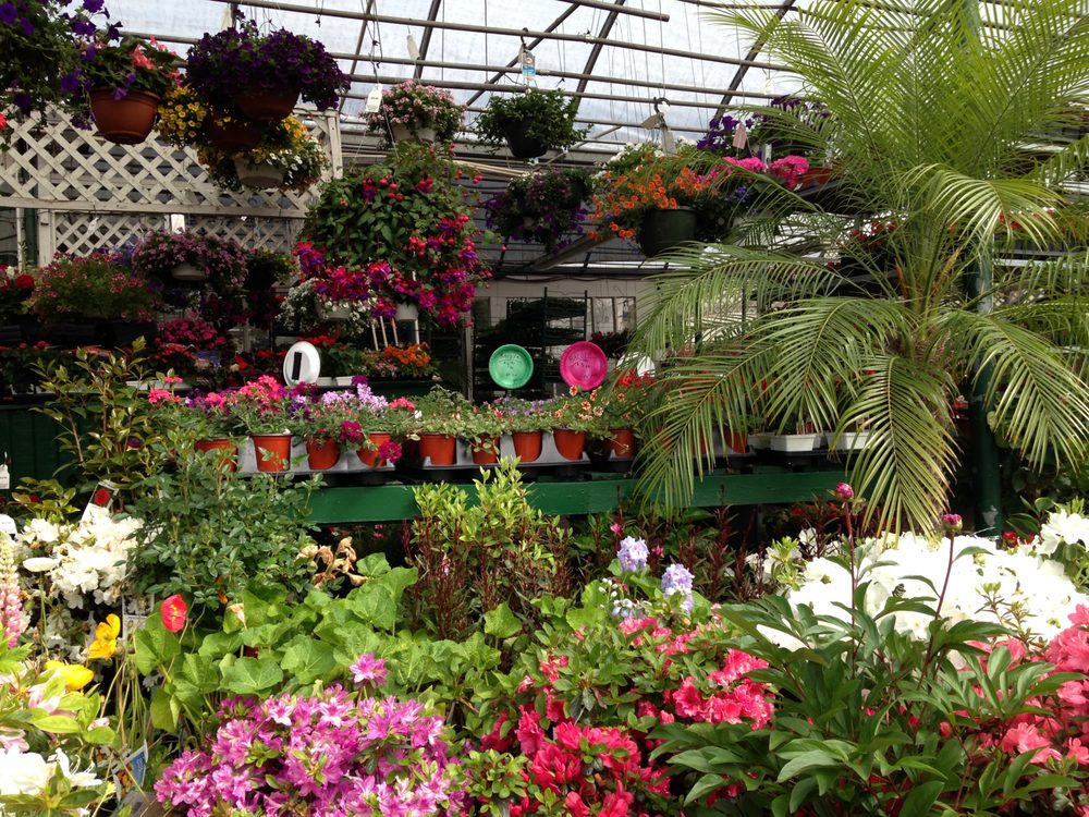 Hampton Nursery in Hyattsville Hampton Nursery 7400 Annapolis Rd